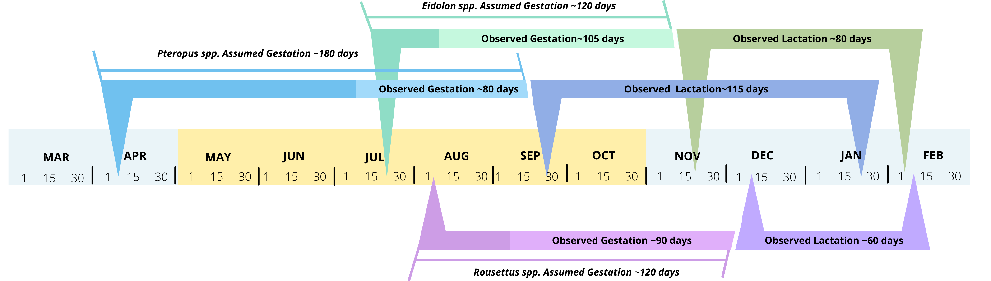 timeline