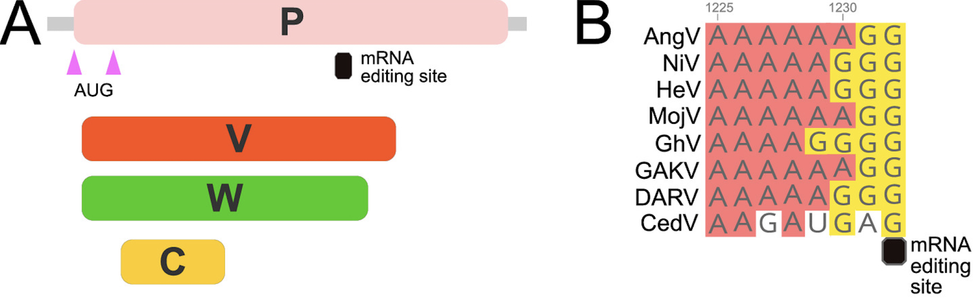 pathogenic protein residues